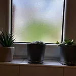 Lora Apartman *